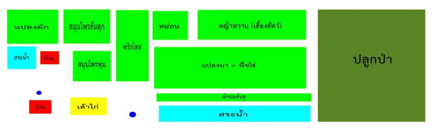 ผังฟาร์ม