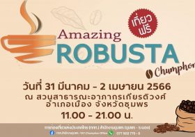 Amazing Robusta @Chumphon 2023